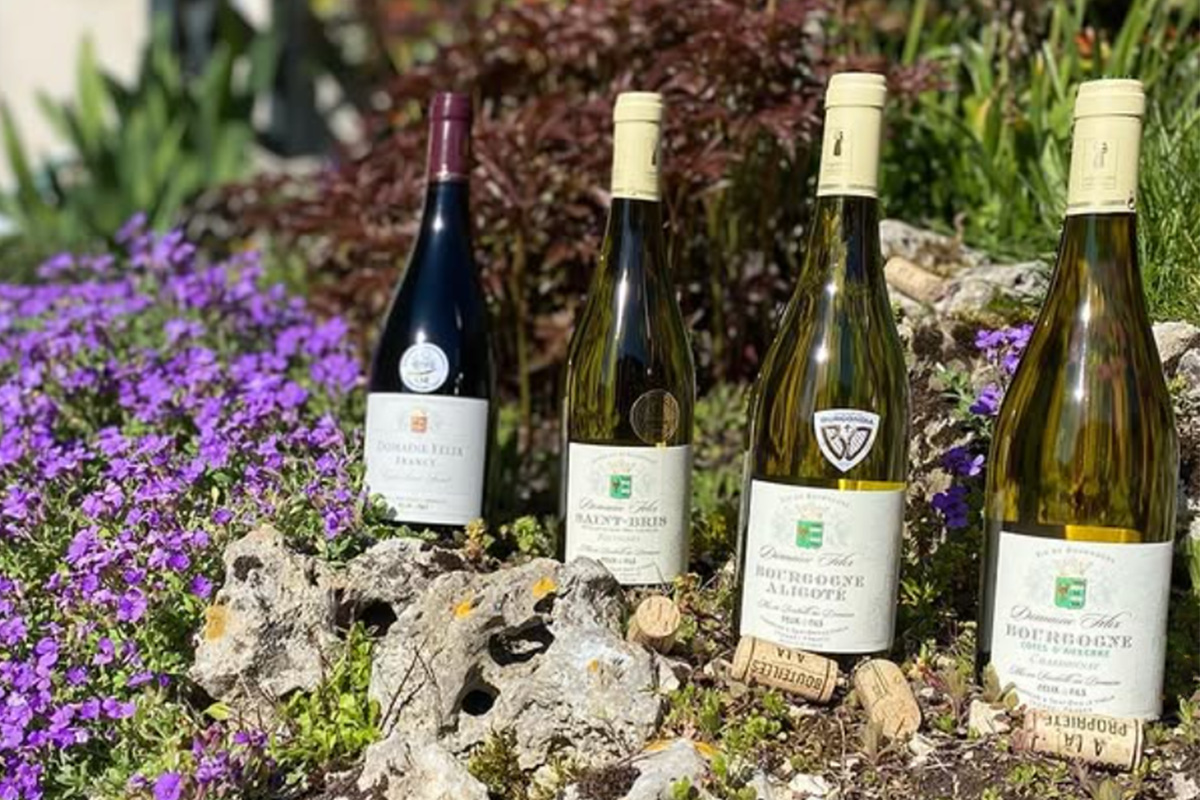 Wines from Domaine Felix