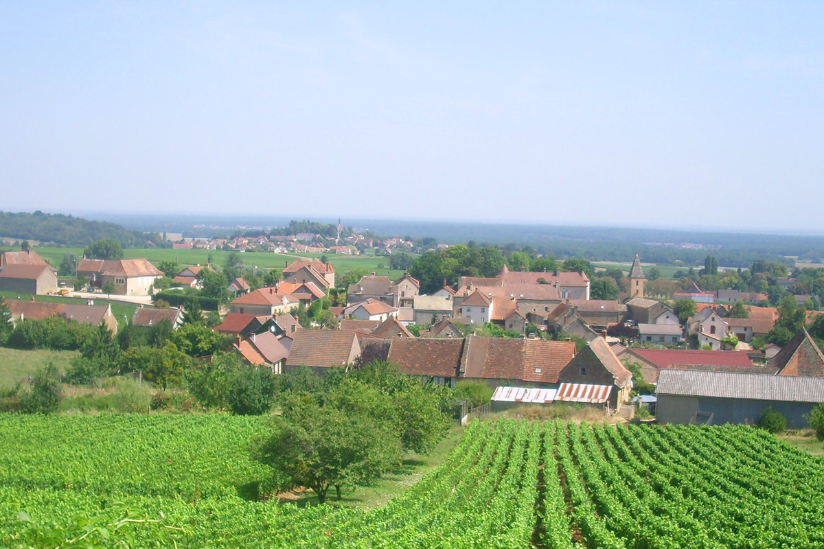 Montagny, Burgundy, France