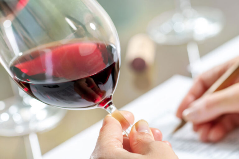 Balancing the Art and the Science of Burgundy Wine: Michelin Grape Launches