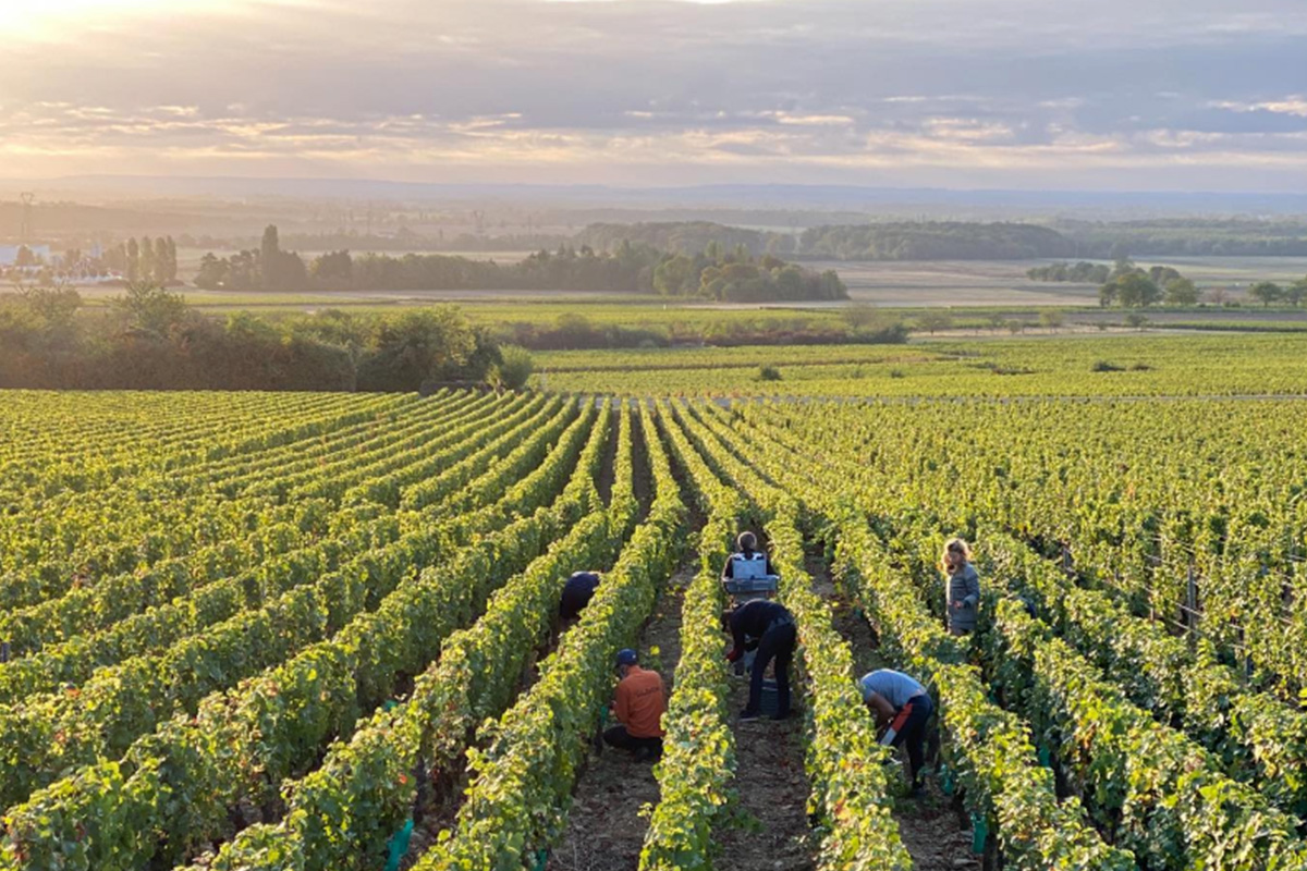 Domaine les Astrelles