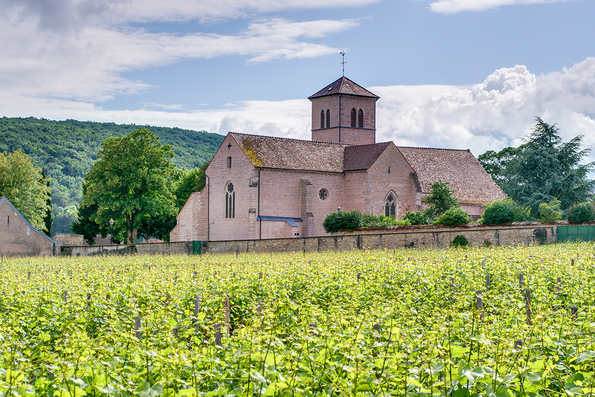 Gevrey-Chambertin: A Jewel of Burgundy Wine